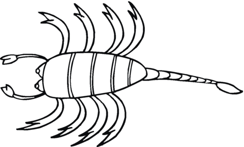 Scorpion 17 Coloring Page